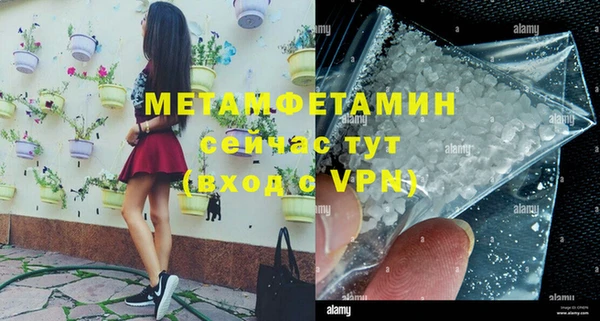 прущие грибы Верея