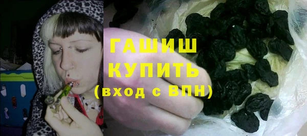 прущие грибы Верея