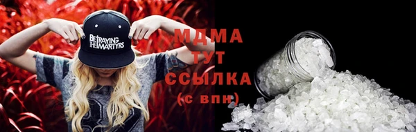 прущие грибы Верея