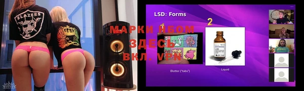 прущие грибы Верея