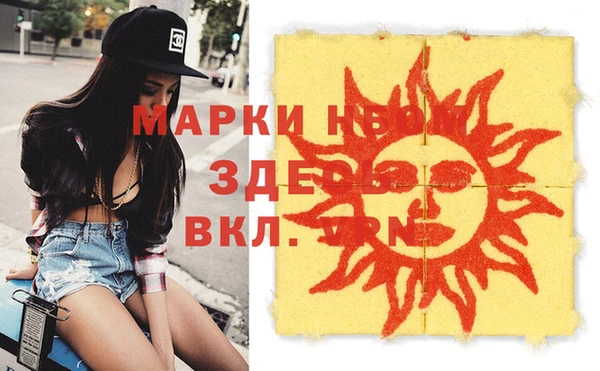 прущие грибы Верея
