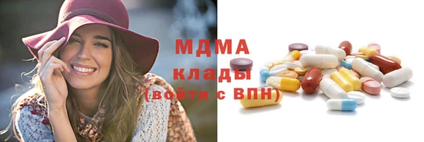 прущие грибы Верея