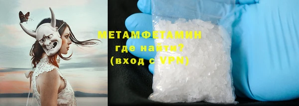 прущие грибы Верея