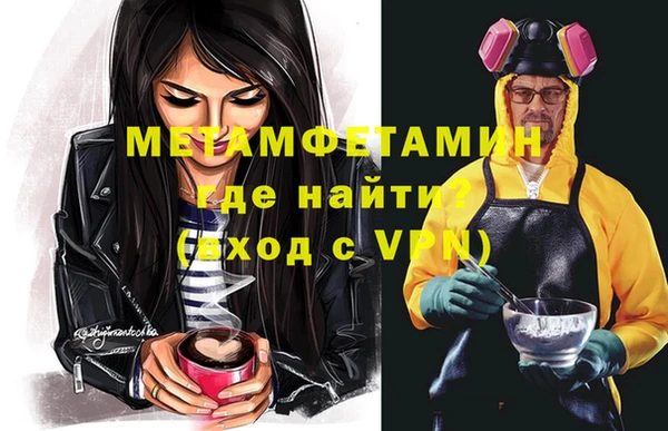 прущие грибы Верея
