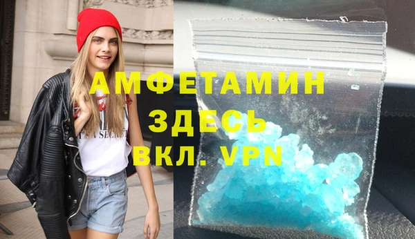 прущие грибы Верея