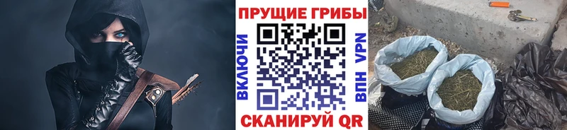 Псилоцибиновые грибы GOLDEN TEACHER  купить   Ессентукская 